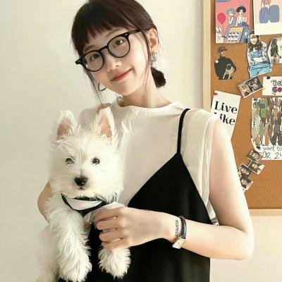 占卜师们 封面